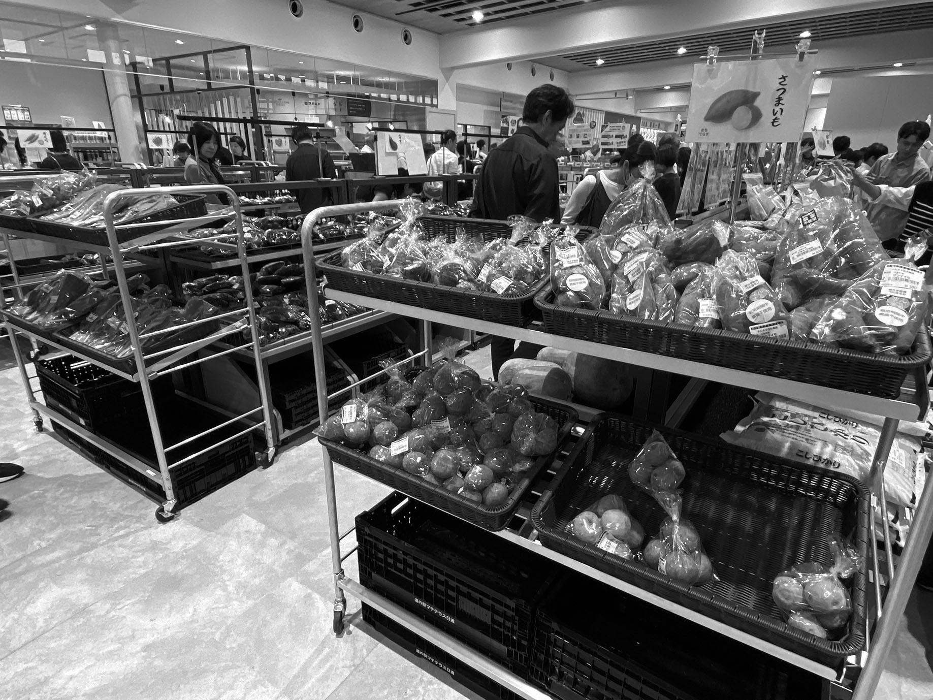 日進市をはじめとした地元農家が栽培する新鮮野菜を販売