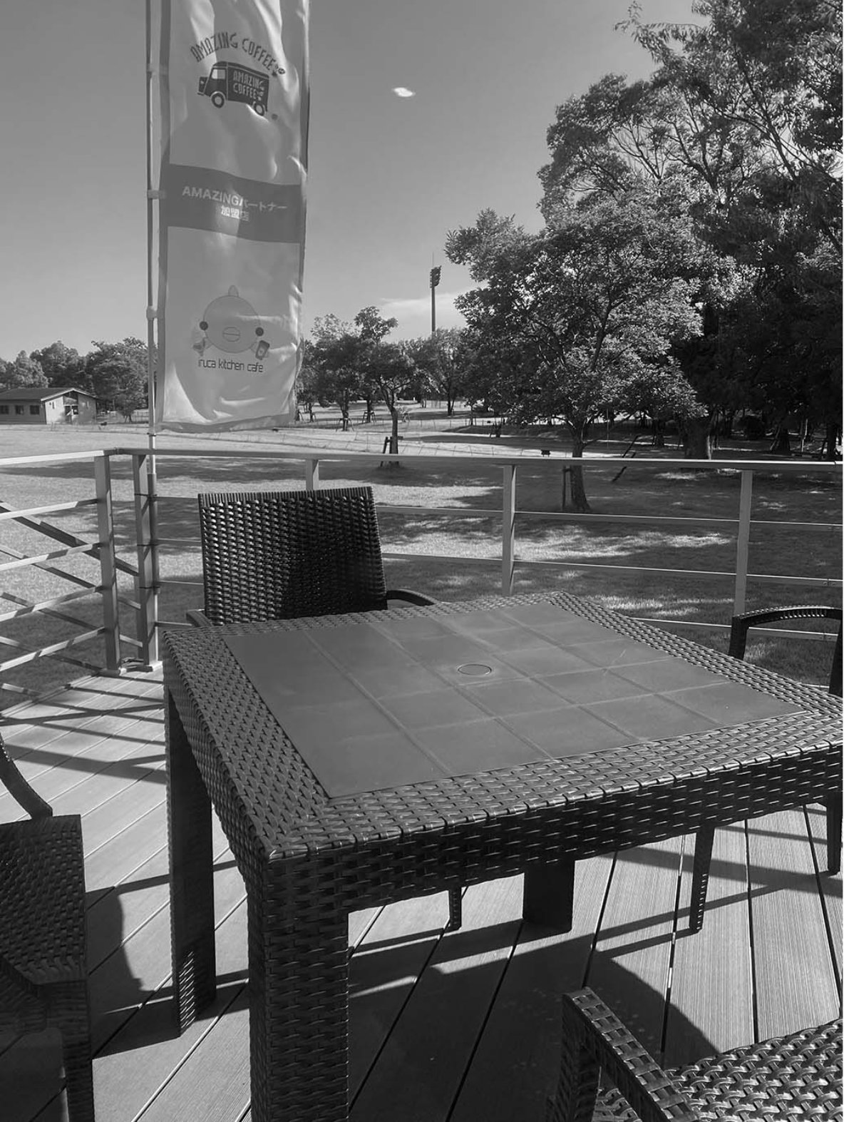 リニューアルされた飲食施設「マメマチCAFE」。外には広大な芝生広場を見ながらくつろげるテラス席も用意